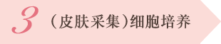 3.(皮肤采集)细胞培养